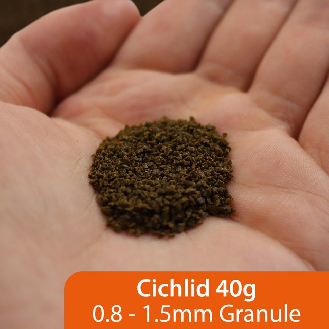 Cichlid Green LS2