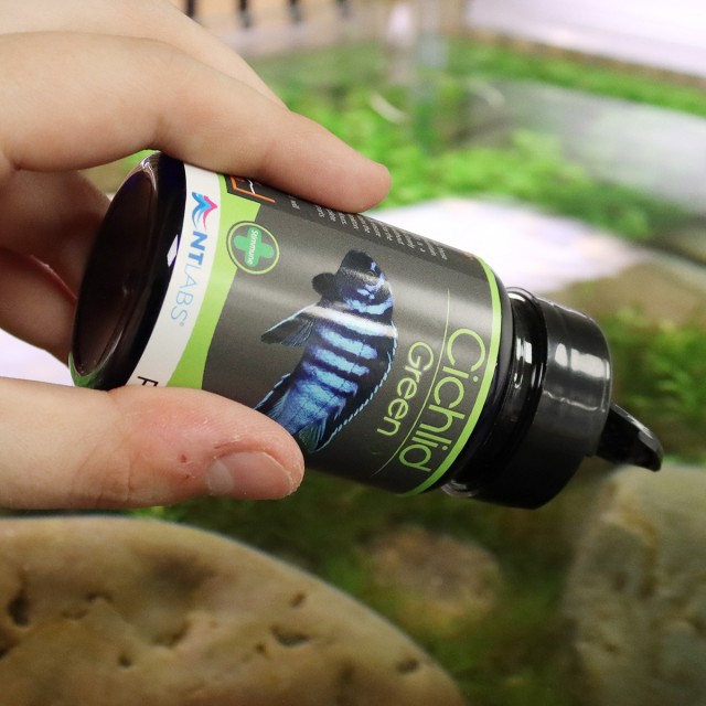 Cichlid Green LS1