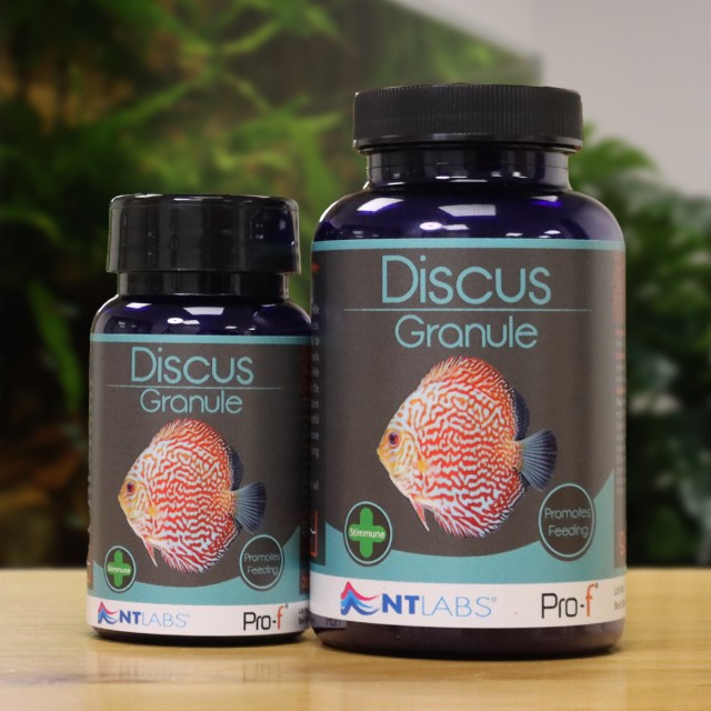 Discus Granule Display