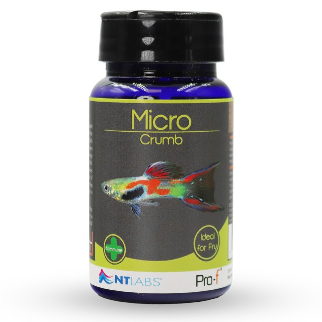 Micro Crumb Front