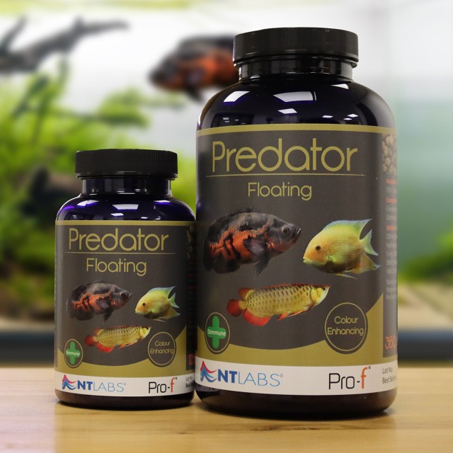 Predator Floating Display