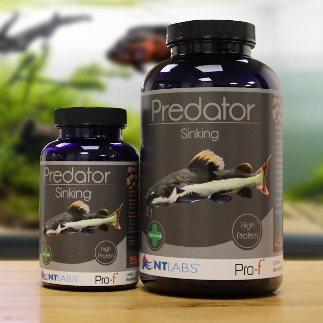 Predator Sinking Display