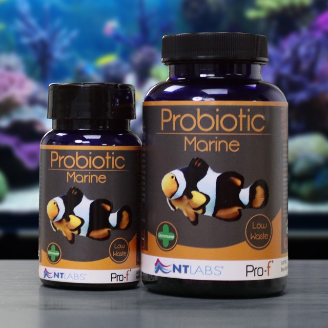 Probiotic Marine Display