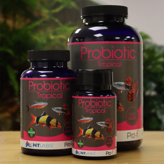 Probiotic Tropical Display