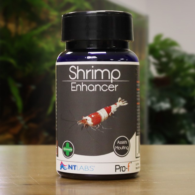 Shrimp Enhancer Display