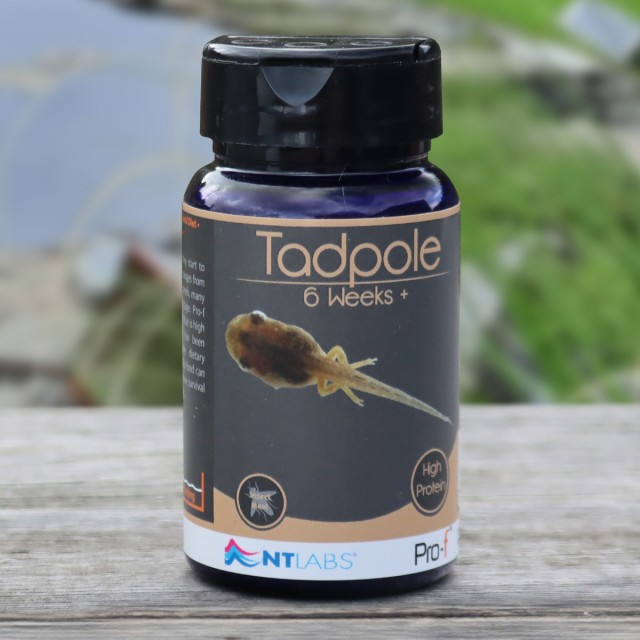 Tadpole Food Display