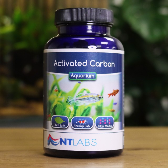 Activated Carbon Display