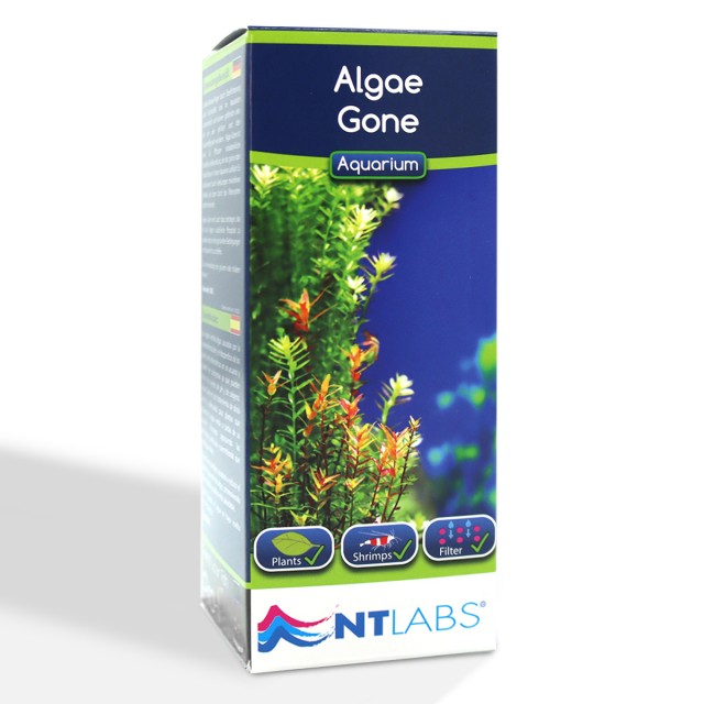 Algae Gone Front