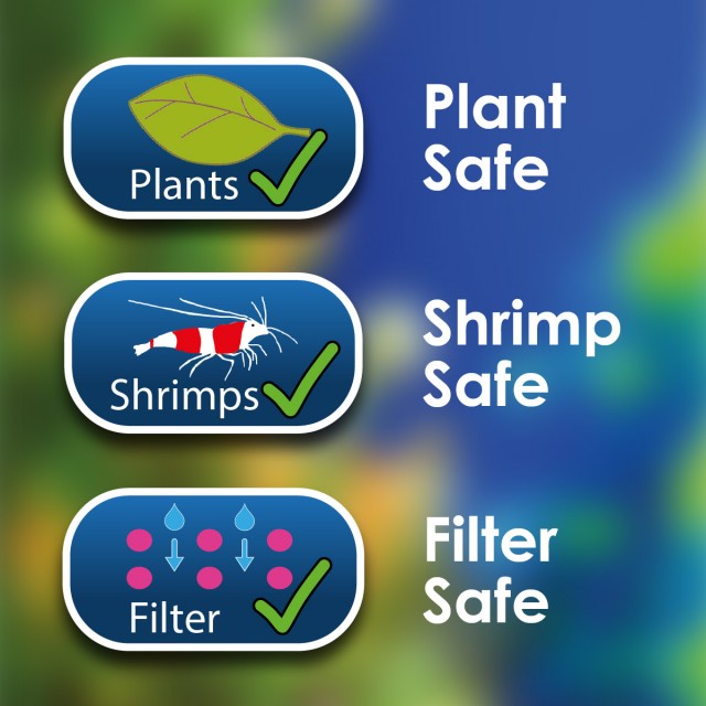 Algae Gone Lifestyle 1