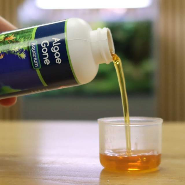 Algae Gone Lifestyle 2