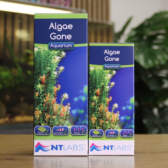 Algae Gone Display