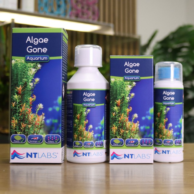 Algae Gone Contents