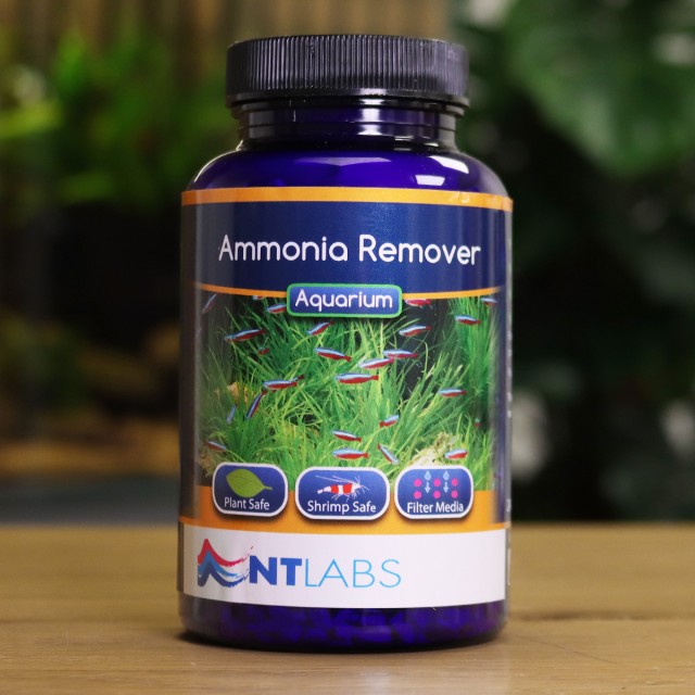 Ammonia Remover Display