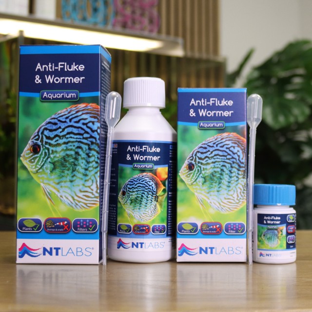 Anti-Fluke & Wormer Contents