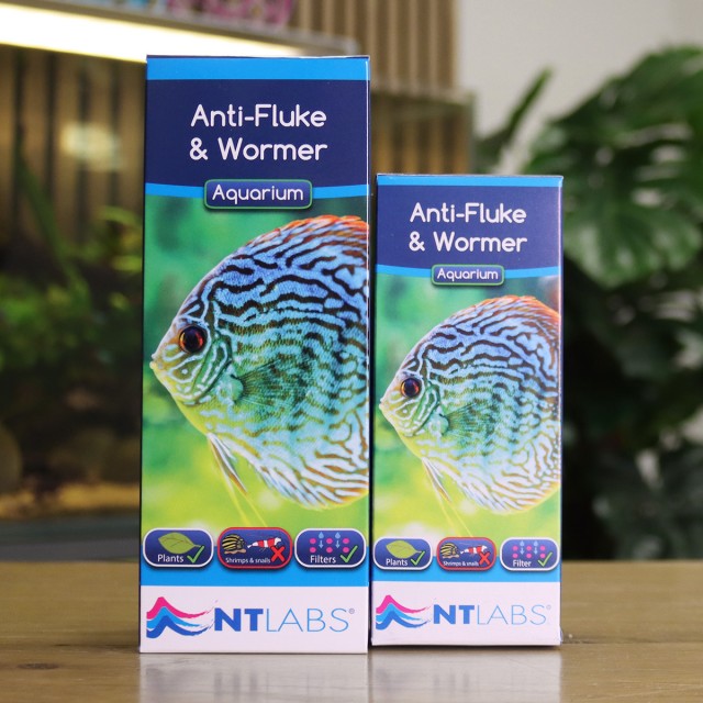 Anti-Fluke & Wormer Display