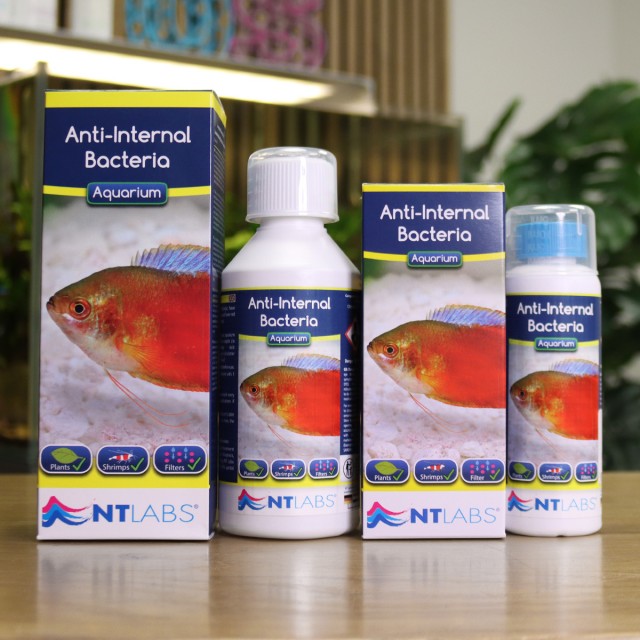 Anti-Internal Bacteria Contents