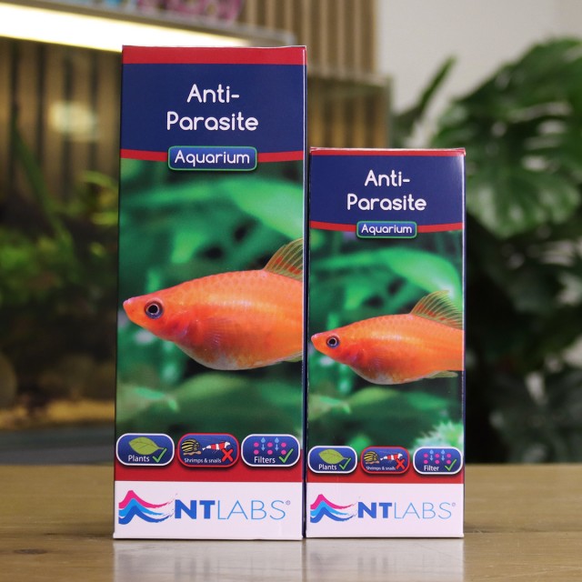 Anti-Parasite Display