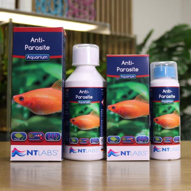 Anti-Parasite Contents