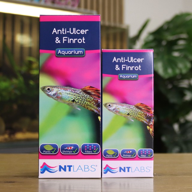 Anti-Ulcer & Finrot Display