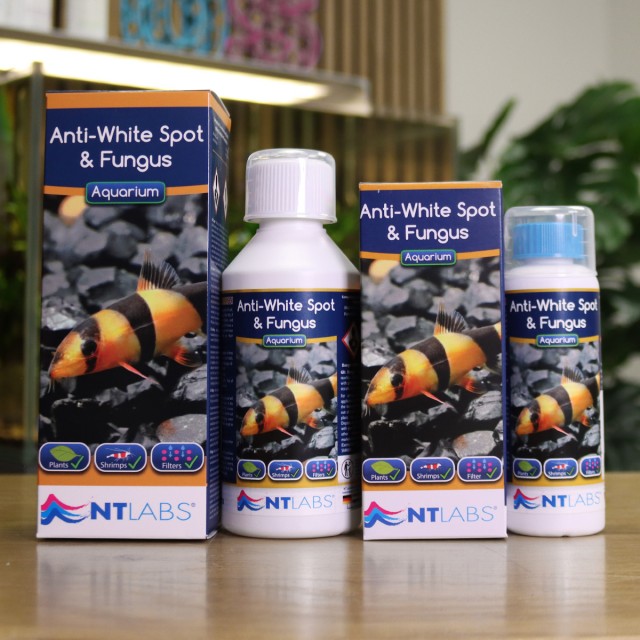 Anti-White Spot & Fungus Contents