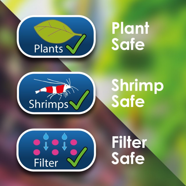 Aquarium Starter Kit Lifestyle 1