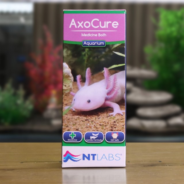 AxoCure Display