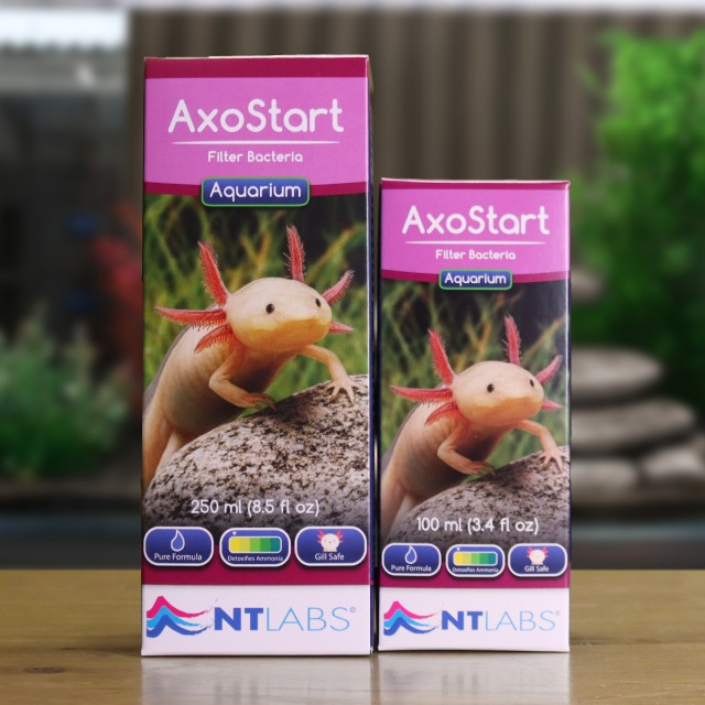 AxoStart Display