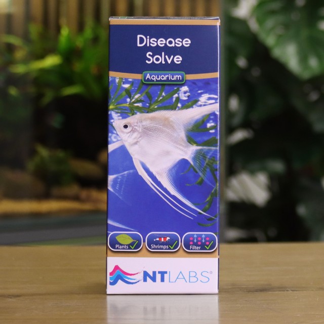 Disease Solve Display