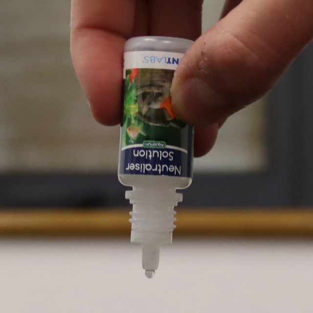 Plastic Plant Cleaner Lifestyle 2