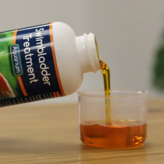 Swimbladder Treatment Lifestyle 1