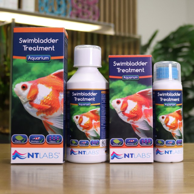 Swimbladder Treatment Contents