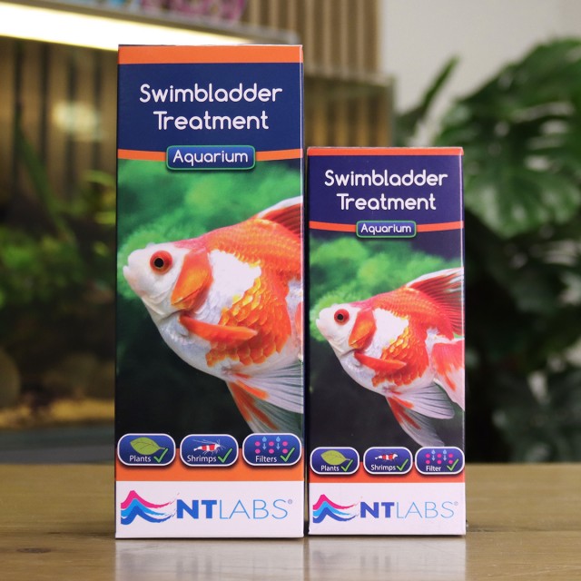 Swimbladder Treatment Display