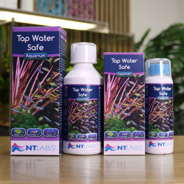 Tap Water Safe Contents