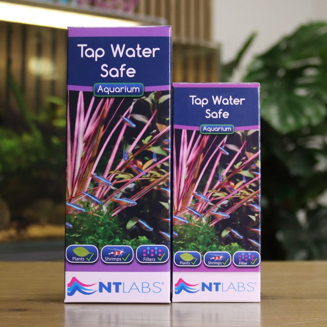 Tap Water Safe Display