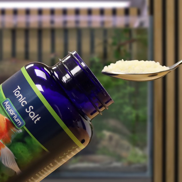 Tonic Salt Lifestyle 2