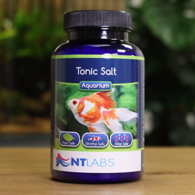 Tonic Salt Display