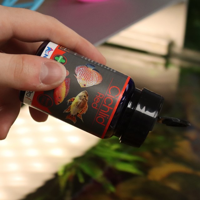 Cichlid Red LS1 (NEW)