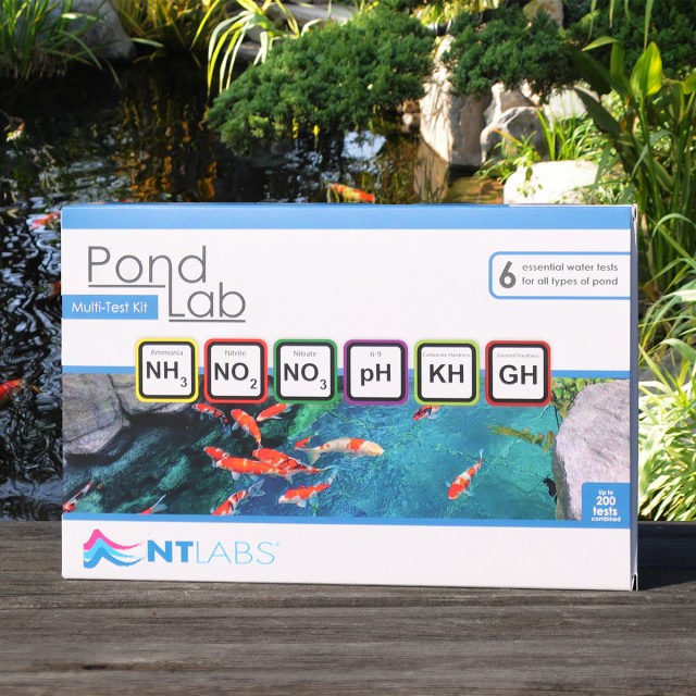 Pond Multi(NEW) Front