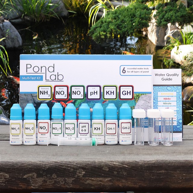 Pond Multi(NEW) Contents