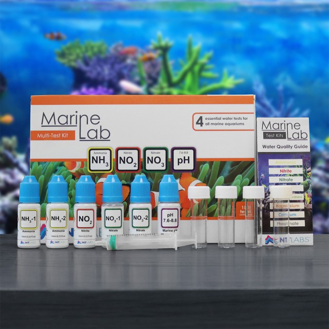 Marine Multi(NEW) Contents